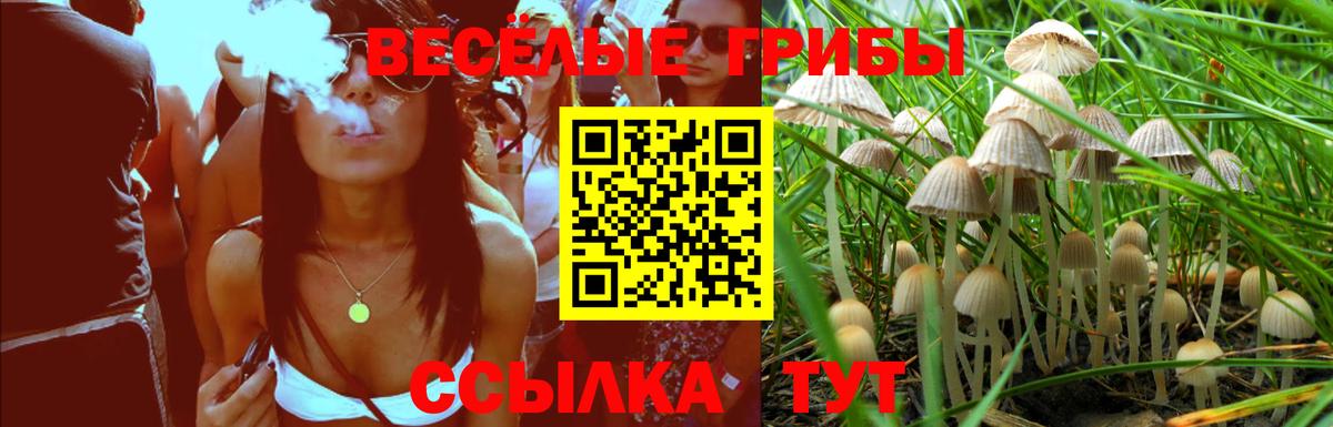 Псилоцибиновые грибы прущие грибы Удомля
