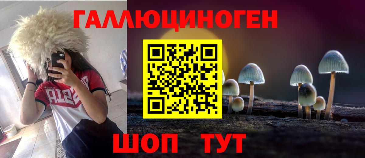 Удомля  Галлюциногенные грибы GOLDEN TEACHER  Вход с VPN 
